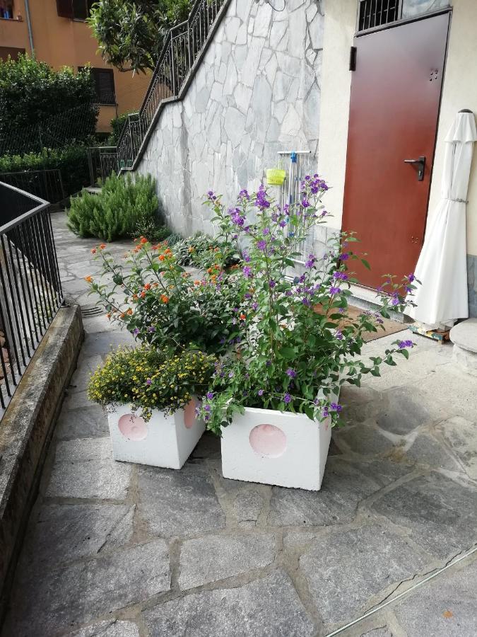 Villa Banfi Lavena Ponte Tresa Zewnętrze zdjęcie