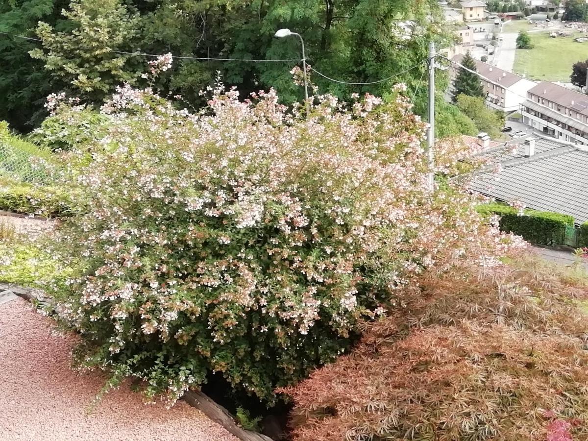 Villa Banfi Lavena Ponte Tresa Zewnętrze zdjęcie