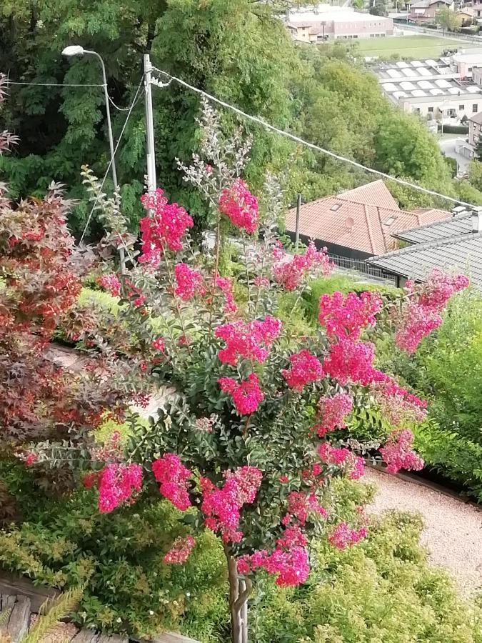 Villa Banfi Lavena Ponte Tresa Zewnętrze zdjęcie