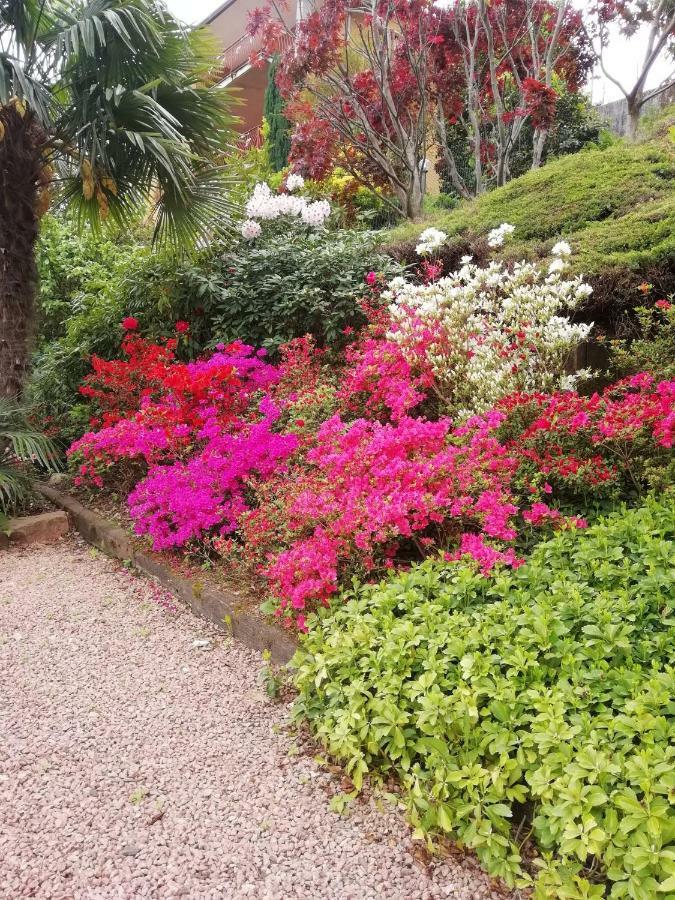 Villa Banfi Lavena Ponte Tresa Zewnętrze zdjęcie